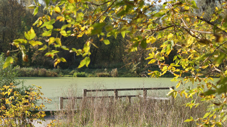 Similar image 21657474