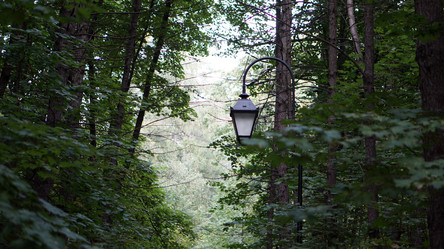 Similar image 21657475