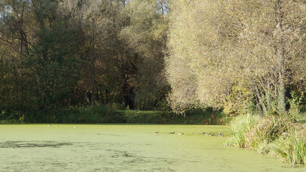 Similar image 21657476