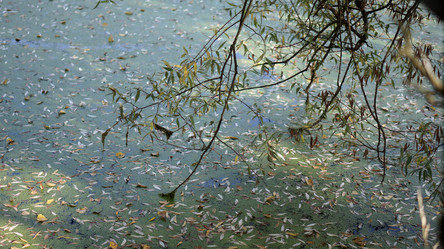 Similar image 21657477