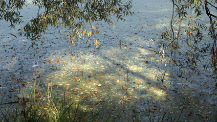 Similar image 21657478