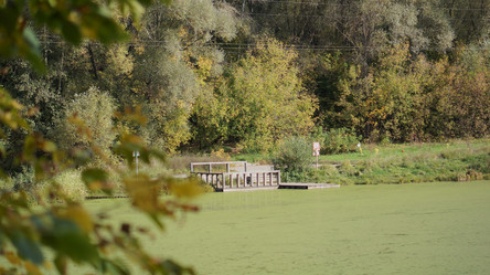 Similar image 21657480