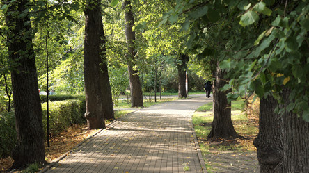 Similar image 21657481