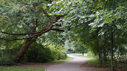 Similar image 21657482