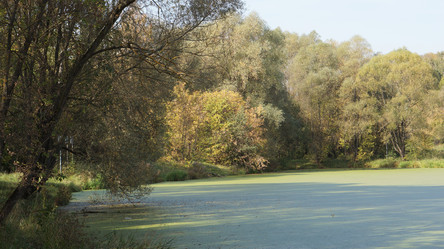 Similar image 21657483