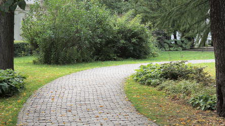 Similar image 21657484