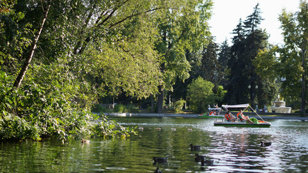 Similar image 21657485