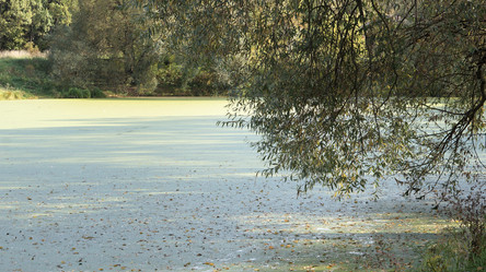 Similar image 21657486