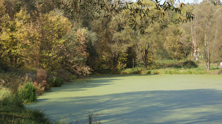 Similar image 21657594