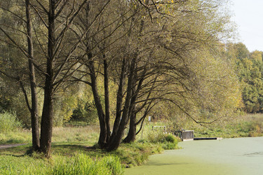 Similar image 21657596