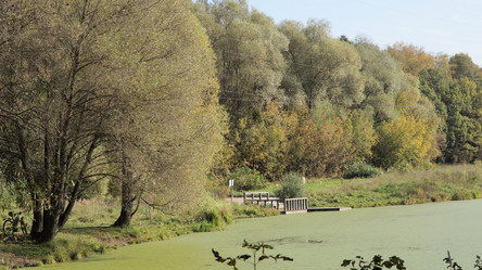 Similar image 21657598