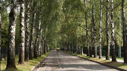 Similar image 21657599