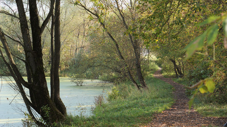 Similar image 21657600