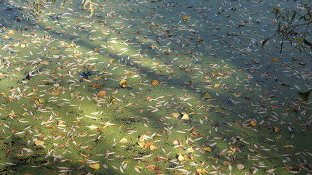 Similar image 21657601