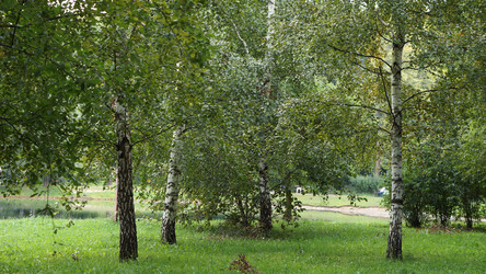 Similar image 21657603