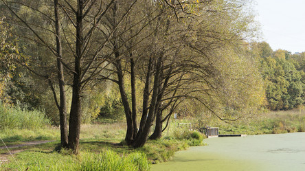 Similar image 21657605