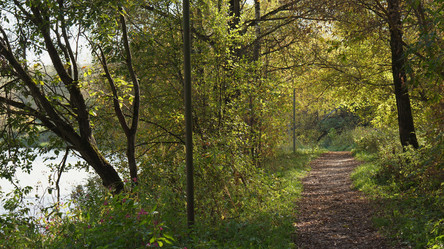 Similar image 21657606