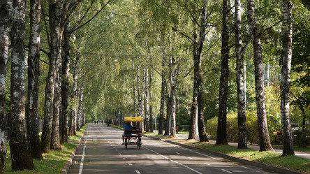 Similar image 21657608