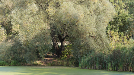 Similar image 21657609