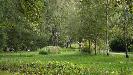 Similar image 21657610