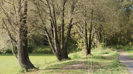 Similar image 21657611