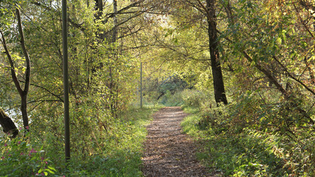 Similar image 21657612