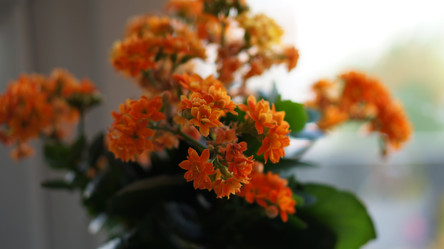 Similar image 21657613