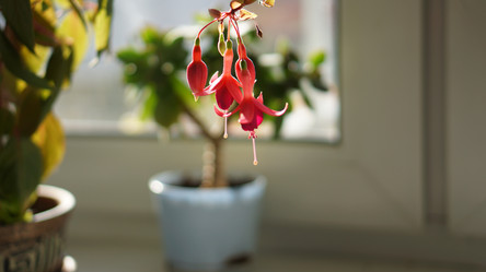 Similar image 21657615