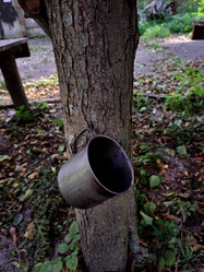 Similar image 21652444