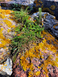 Similar image 21652448