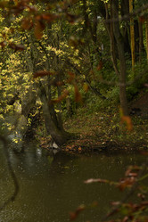 Similar image 21652451