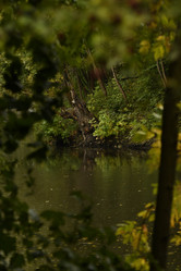 Similar image 21652458