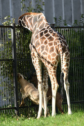 Similar image 21652459