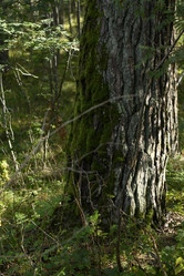 Similar image 21652462