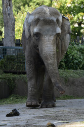 Similar image 21652463