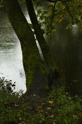 Similar image 21652464