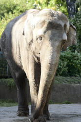 Similar image 21652465