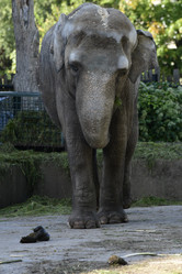 Similar image 21652467