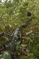 Similar image 21652470