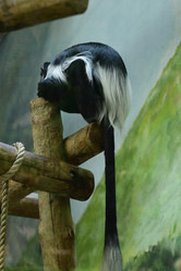 Similar image 21652471