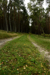 Similar image 21652472