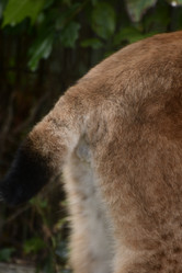 Similar image 21652473