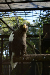 Similar image 21652475