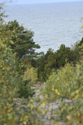 Similar image 21652730