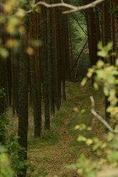 Similar image 21652731