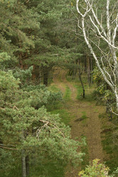 Similar image 21652732