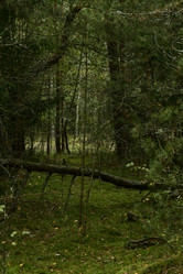 Similar image 21652886