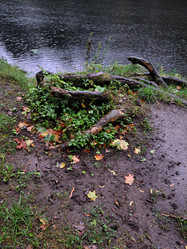 Similar image 21652887