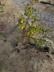 Similar image 21652890