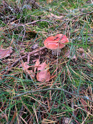 Similar image 21652891